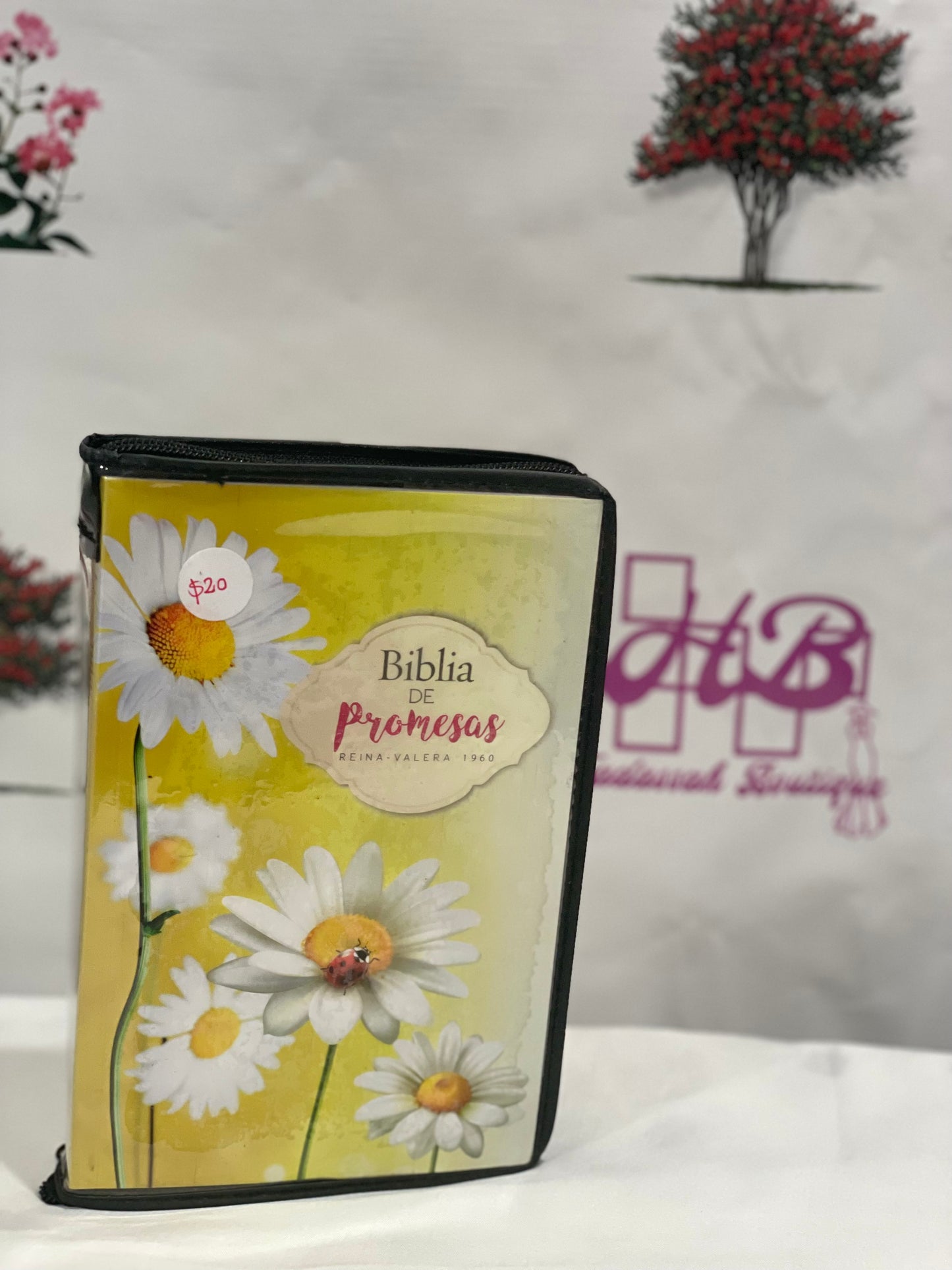 Biblia de Promesa RVR 1960