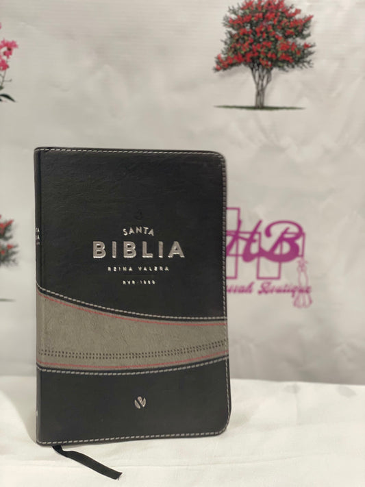Santa biblia RVR60