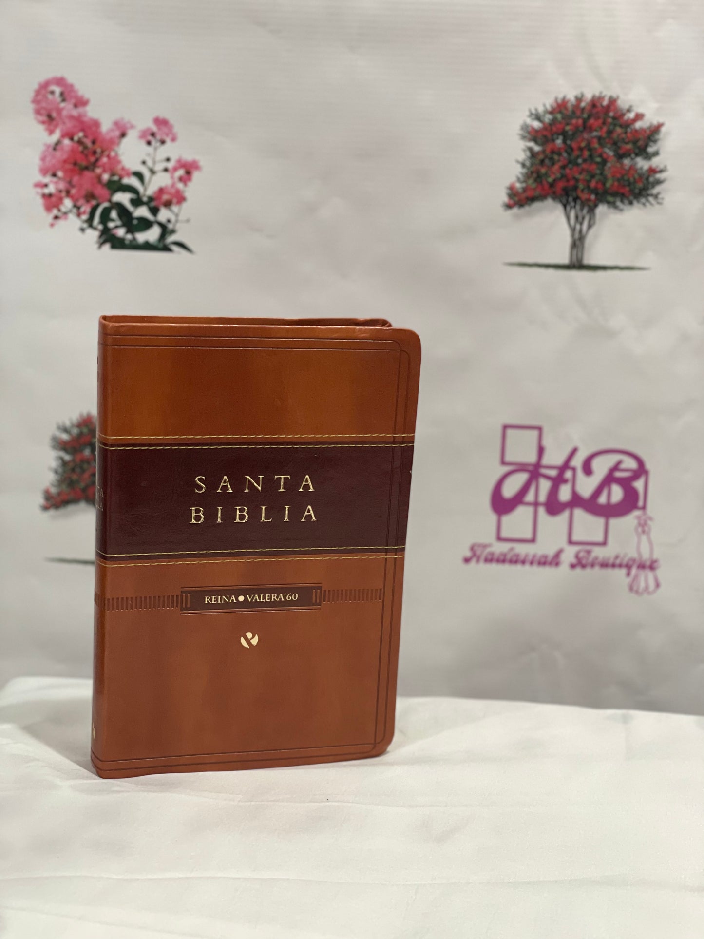 Santa biblia RVR60
