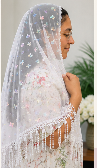 Butterfly Mesh prayer Veil