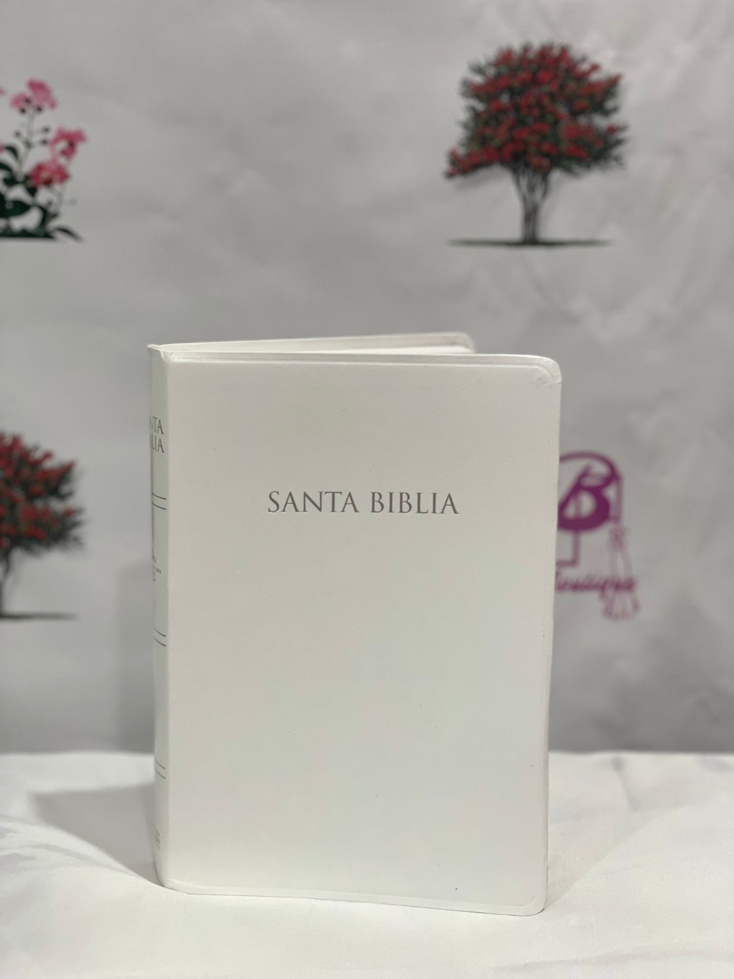 Santa biblia Para regalos y premios