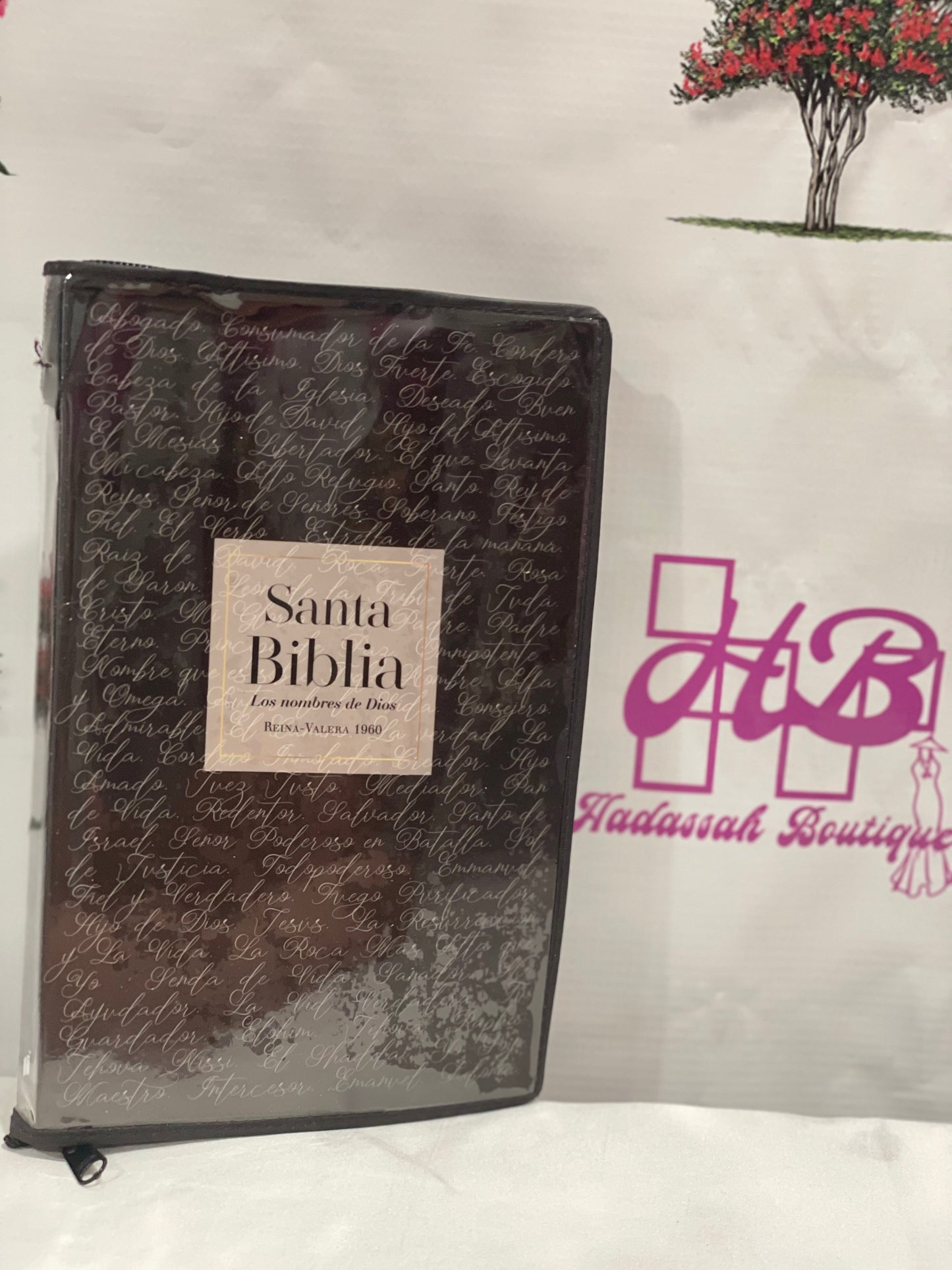 Santa biblia Los nombres de Dios